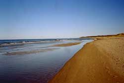 Strand billeder af Jeanne Dideriksen